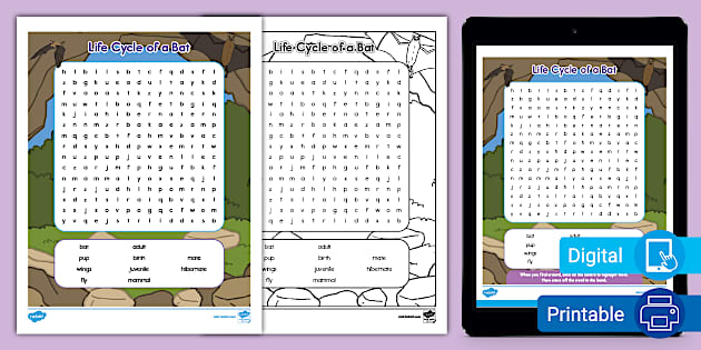 Life Cycle of a Bat Word Search for K-2nd Grade - Twinkl