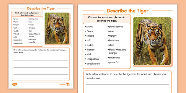 Printable Describe the Tiger Worksheet | Twinkl USA - Twinkl