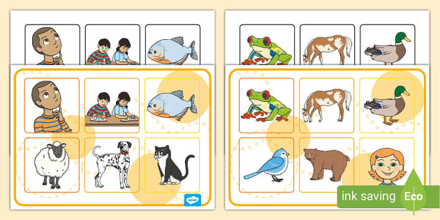 FREE! - Matching Cards and Board to Support Teaching on Brown Bear ...