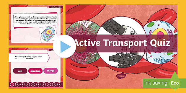 What is a cell wall?  Twinkl Teaching Wiki - Twinkl