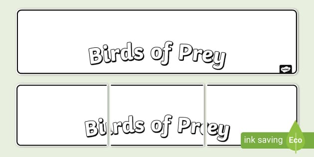 Birds of Prey - Twinkl Homework Help - Twinkl