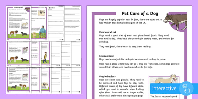 KS2 Pet Care of a Dog Differentiated Comprehension Worksheets