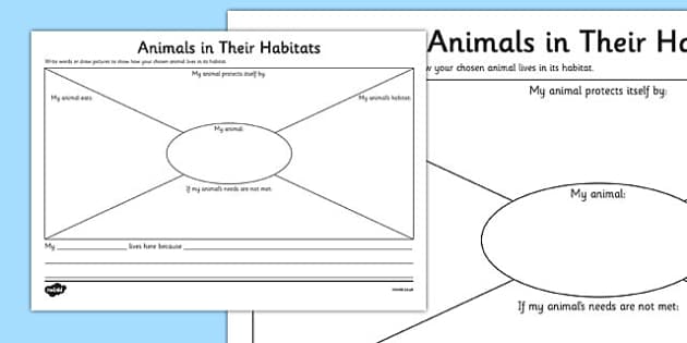 animals in their habitats worksheet science year 1