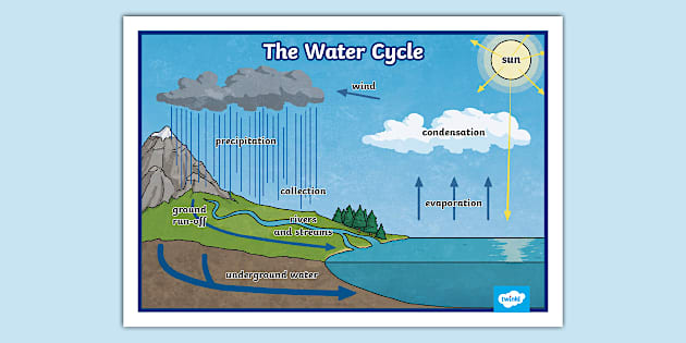 The Water Cycle | Display | 4 Stages of the Water Cycle