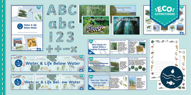 Year 4 Water & Life Below Water: Display Pack (Teacher-Made)