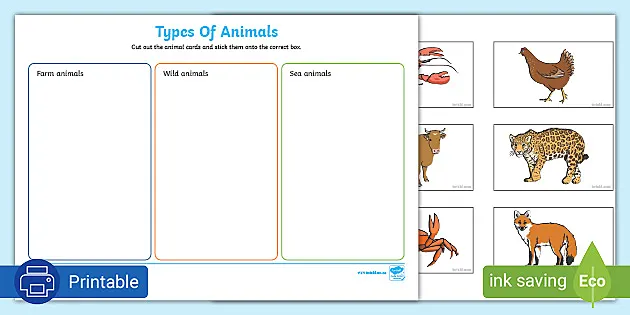 Animal Sorting Activity | Types Of Animals Worksheet