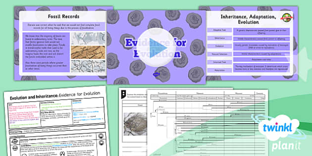 What is evolution? - Twinkl