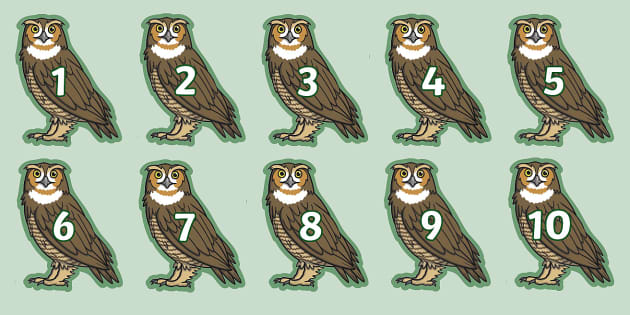 👉 1-20 on Owls Cut Outs Cut-Outs - (teacher made)