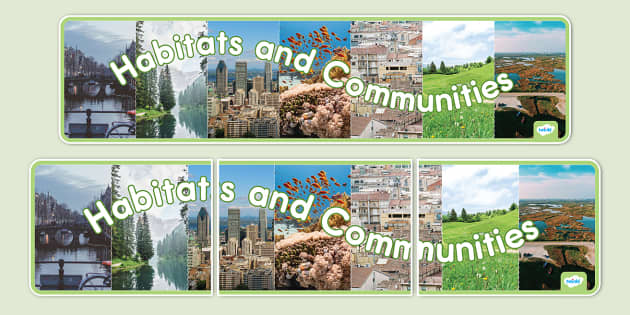 Habitats and Communities Photo Display Banner (teacher made)