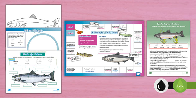 Pacific Salmon Activity Pack (teacher made) - Twinkl