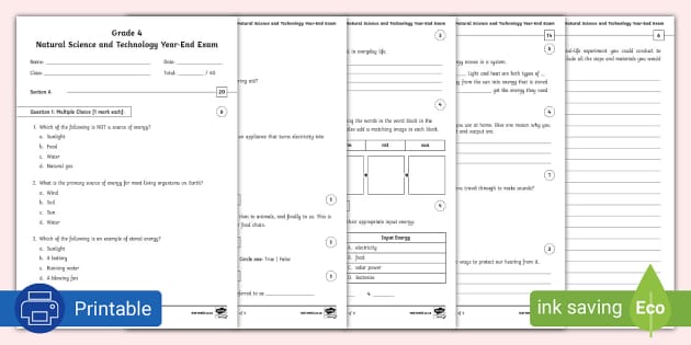 Grade 4 Natural Science and Technology Year-End Exam