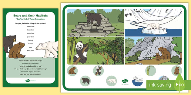 Bear, Types, Habitat, & Facts