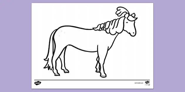 Preschool Horse Colouring Colouring Sheets