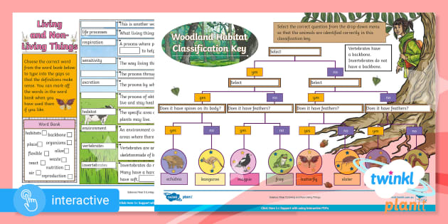 Year 3 Science Living and Non-Living Things Interactive PDF