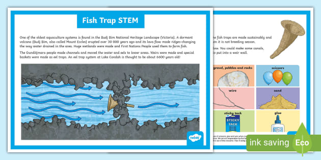 Fish Trap STEM (teacher made) - Twinkl