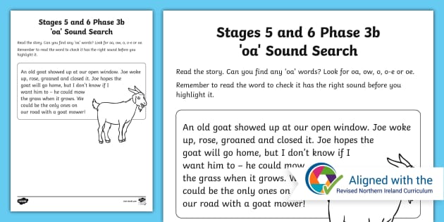 Northern Ireland Linguistic Phonics 3b 'oa' Sound Search Worksheet