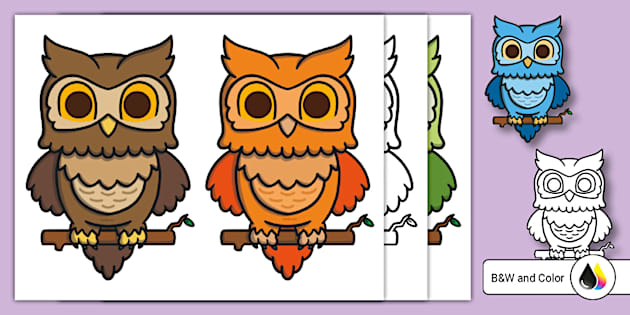 Adorable Owl Theme Cutouts (professor feito) - Twinkl