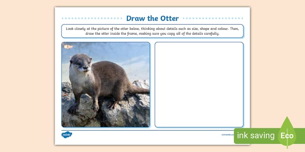 Draw the Otter Art Activity, Otter, Drawing (teacher made)