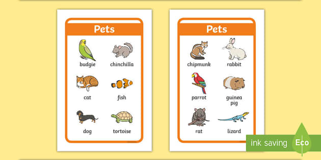 Pets Words Tolsby/Fiestad Prompt Frame (Teacher-Made)