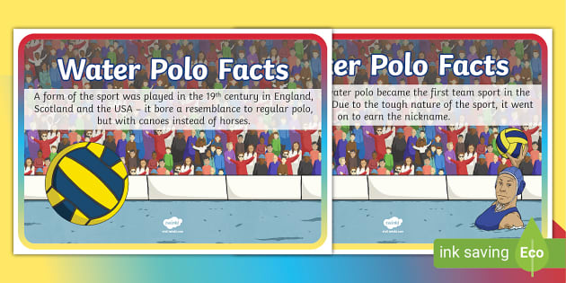 T T 27247 Water Polo Display Facts  Ver 4 