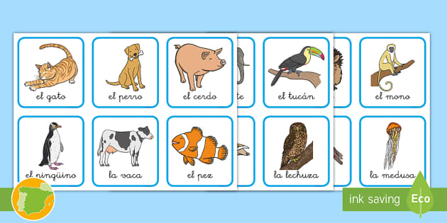 Material Educativo - CLASIFICACIÓN DE LOS ANIMALES 17 LAMINAS EN PDF.  ACCEDER ENLACES PARA DESCARGAR:  PDF🌟 animales-laminas-para-imprimir/  PDF🌟