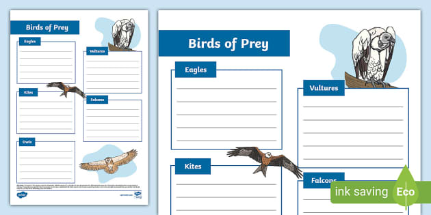 Birds of Prey Fact File Template (teacher made) - Twinkl