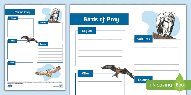 Birds of Prey - Twinkl Homework Help - Twinkl