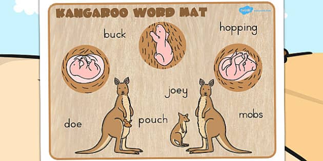 https://images.twinkl.co.uk/tw1n/image/private/t_630_eco/image_repo/6f/74/AU-T-1459-Kangaroo-Life-Cycle-Word-Mat.jpg