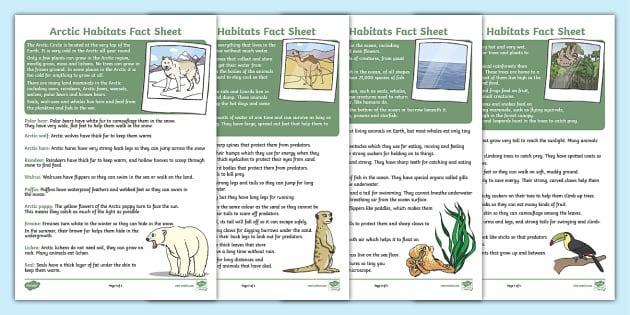 World Habitats Fact Sheets Facts About Habitats Resources World Habitats Fact Sheets Facts About Habitats Resources