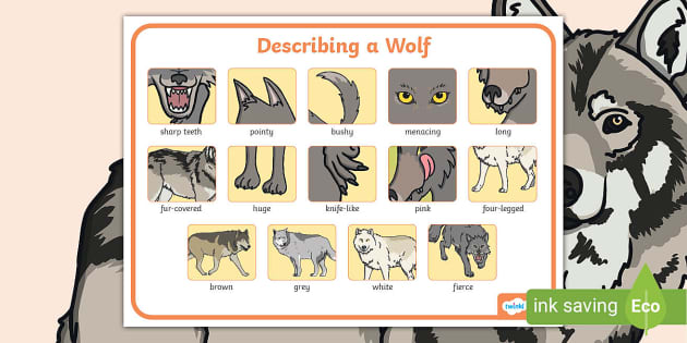 Wolf Adjectives Word Mat - Twinkl