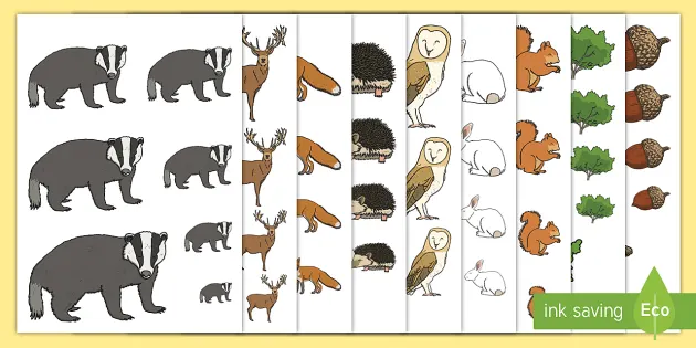Klassenraumgestaltung Spuren ihre Poster Wildtiere die für und