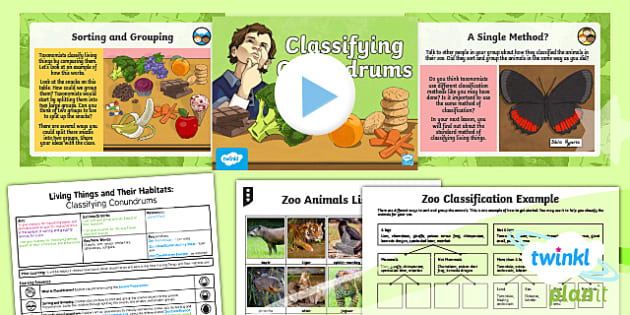 classification of living organisms for kids