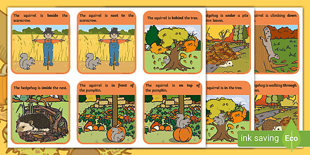 👉 Autumn Hide-and-Seek Positional Language Cards - Twinkl