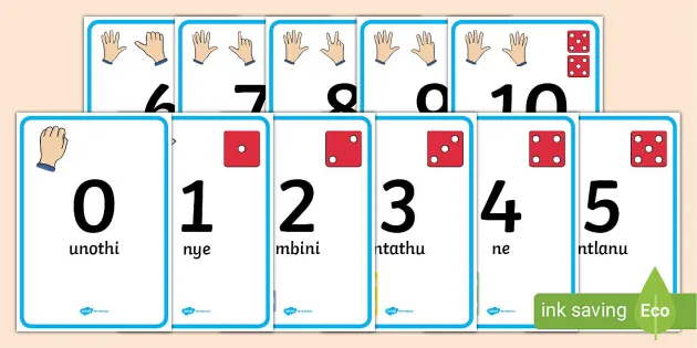 all about me worksheet isixhosa konke malunga nam