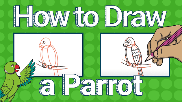 How to Draw a Parrot | Twinkl Kid's TV (teacher made)