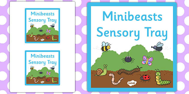 👉 Minibeasts Themed Sensory Deep Tray Label - Twinkl