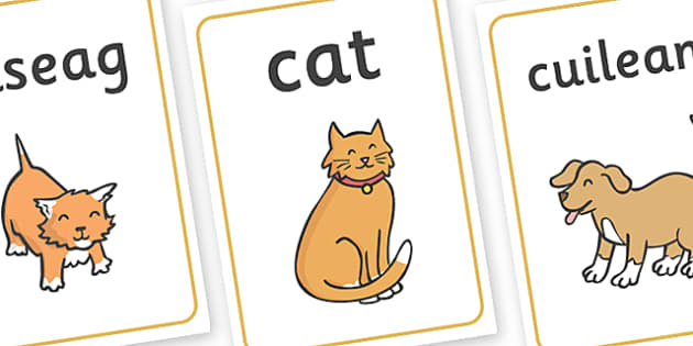 Scottish Gaelic Pets Display Posters (teacher made) - Twinkl