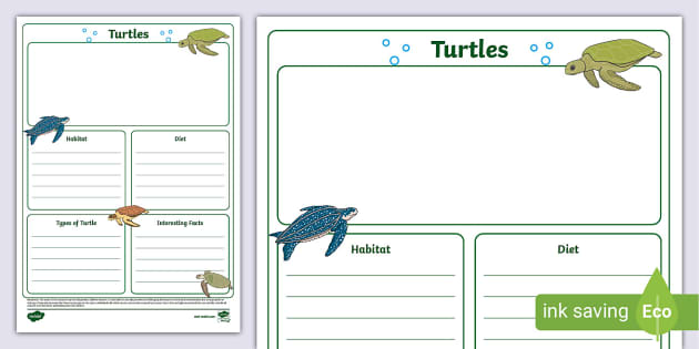 Turtles Fact File Template, turtle, about turtles - Twinkl