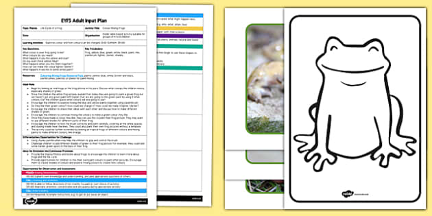 Colouring Mixing Frogs EYFS Adult Input Plan and Resource Pack