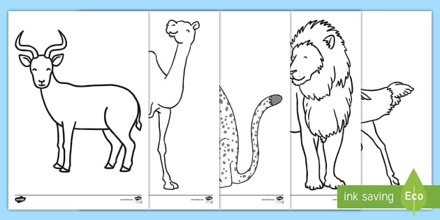 Zoo Animal Outlines Colouring Sheets | Twinkl Resources