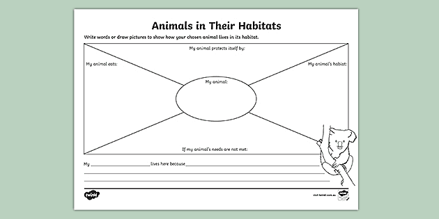 Animal Habitats Graphic Organizer  Graphic organizers, Animal habitats,  Kindergarten science