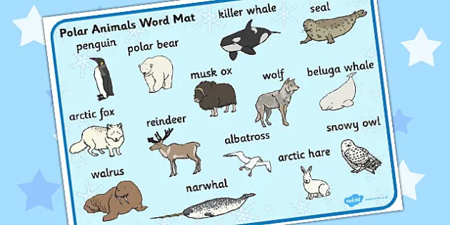 Polar Animals Vocabulary Mat - ESL North and South Pole Resources