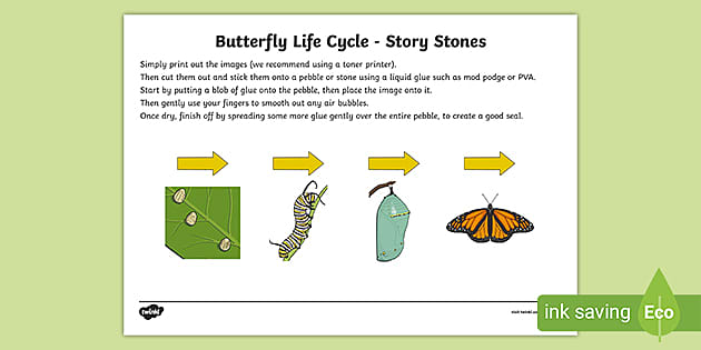 Butterfly Life Cycle Story Stone Image Cut Outs