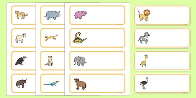 Editable Drawer - Peg - Name Labels (African Animals)