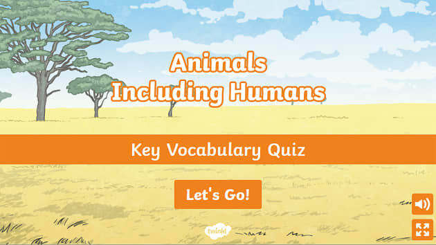 Animals Including Humans Key Vocabulary