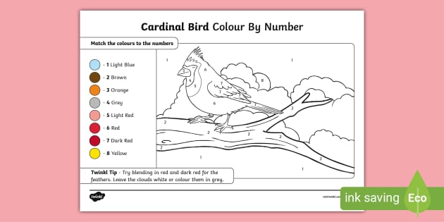 FREE! - Blue Jay Bird Colour by Number (Teacher-Made)