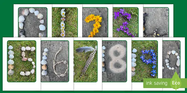 nature themed numbers 0 20 display posters teacher made