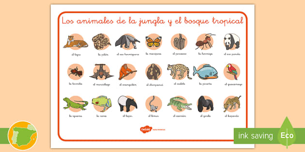 Tapiz de vocabulario: Los animales de la jungla y el bosque tropical
