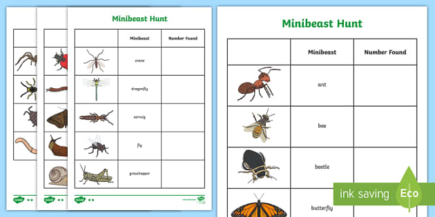 Minibeast Hunt Tally Sheet - Teaching Resources - Twinkl