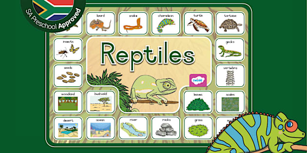 Reptiles: Communication Mat (teacher made) - Twinkl